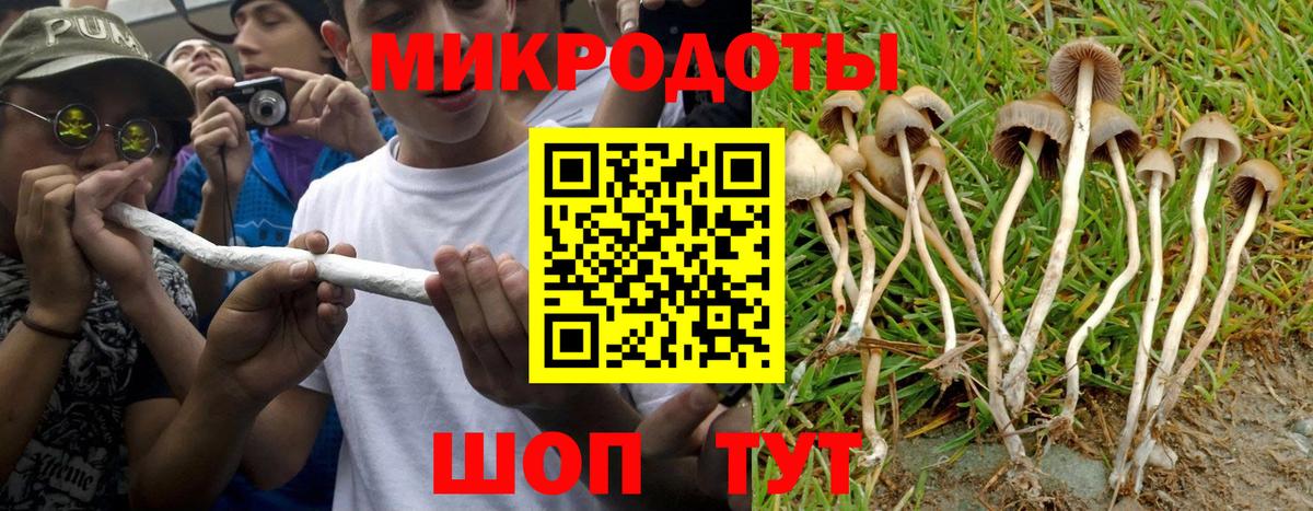 цена   Вход с VPN  Псилоцибиновые грибы прущие грибы  Малоярославец  Псилоцибиновые грибы мицелий 