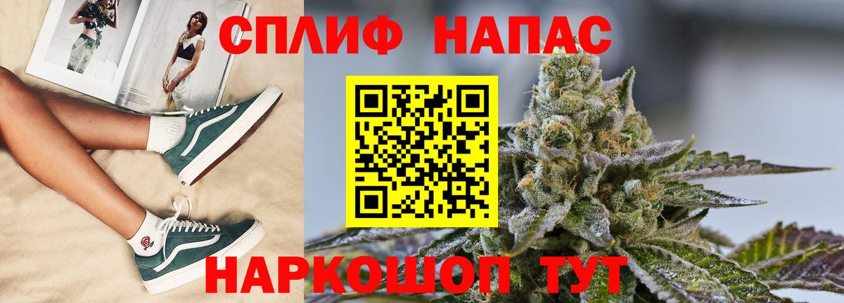Канабис MAZAR Малоярославец